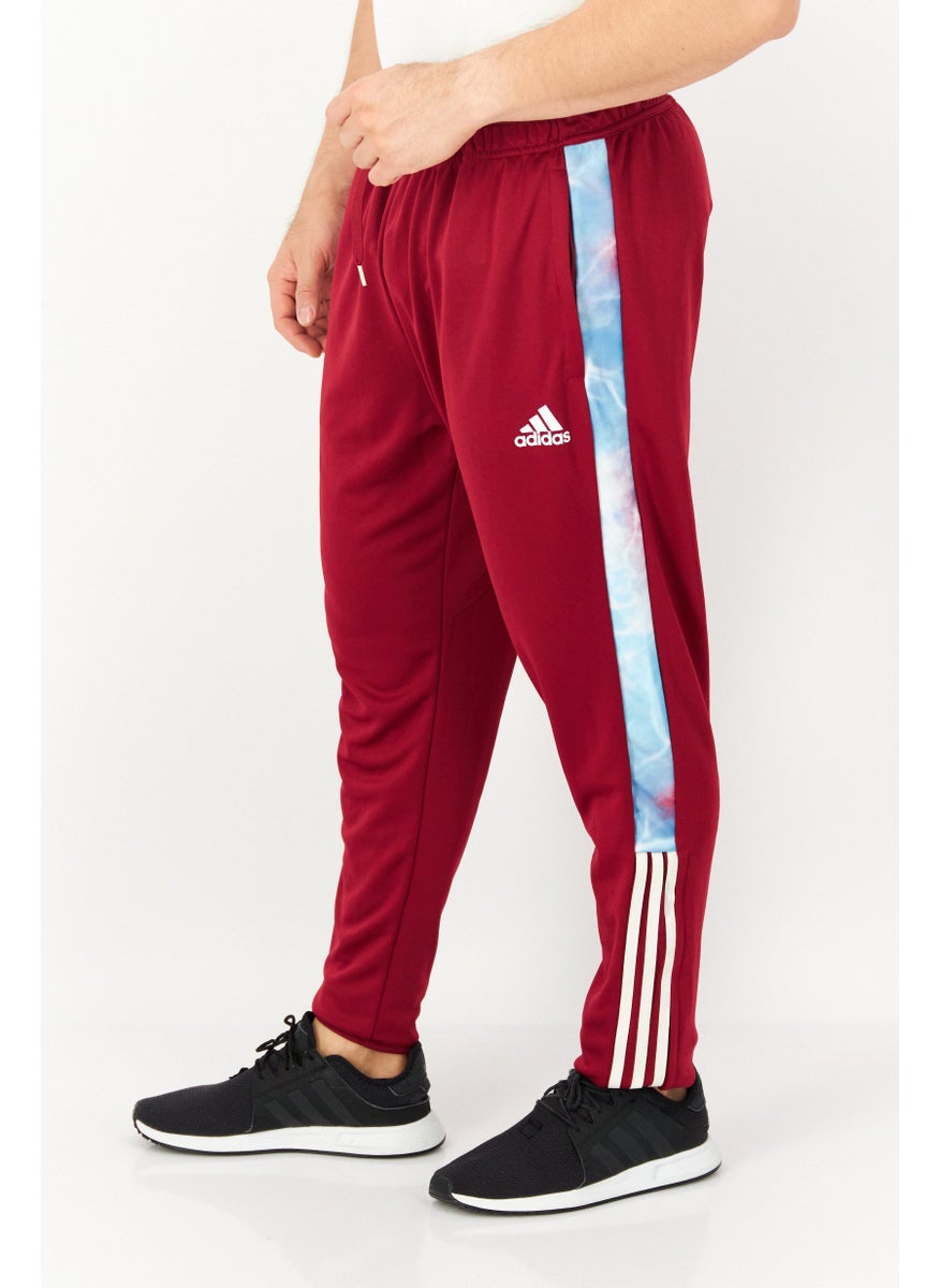 Men Sportswear Fit Training Track Pants, Burgundy - pzsku/ZBADCF727DD54931D2335Z/45/_/1737900614/c59c4a54-debc-40cd-9b83-e0df01be0cf5