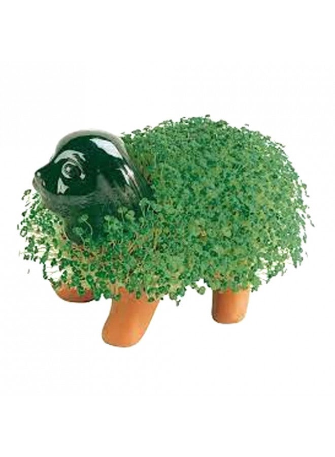 Chia Pet Puppy with Seed Pack, Decorative Pottery Planter, Easy to Do and Fun to Grow, Novelty Gift, Perfect for Any Occasion