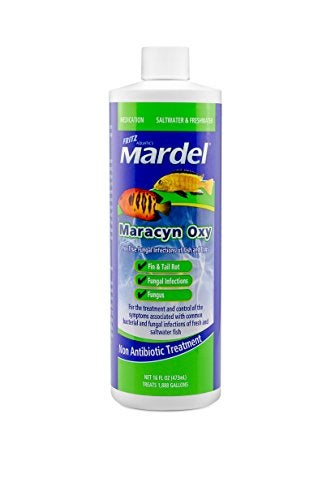 Fritz Aquatics Maracyn Oxy True Fungal Infection Relief (16-Ounce) - Image 5