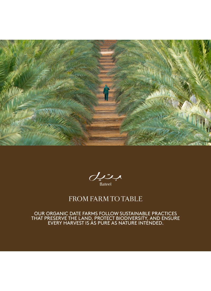 Bateel Premium Date Maamoul Tin Large 460g - Image 5