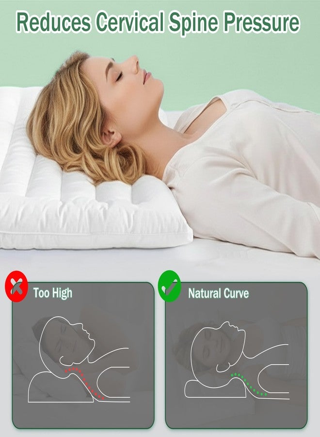 SILUI Ultra Thin Flat Pillows for Sleeping 2 Inch Height - Standard Size Set of 1 Pack Hypoallergenic Slim Low Bed Pillow with Down Alternative Fill for Back Stomach Sleepers, 18x26 Inches - Image 4