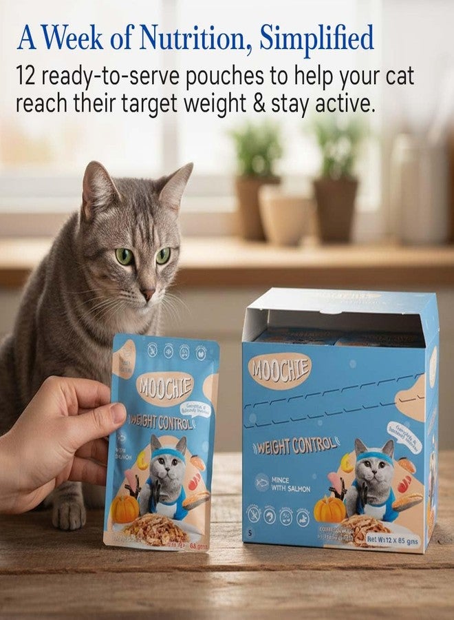Pets Empire Moochie Tasty Wet Cat Food (85 g x 24 Pouches) Grain Free Cats Gravy Meal, Weight Control No Artificial Flavours Kitten Food, Non-Vegetarian Cat Foods Pouch for Adults & Kittens - Image 5