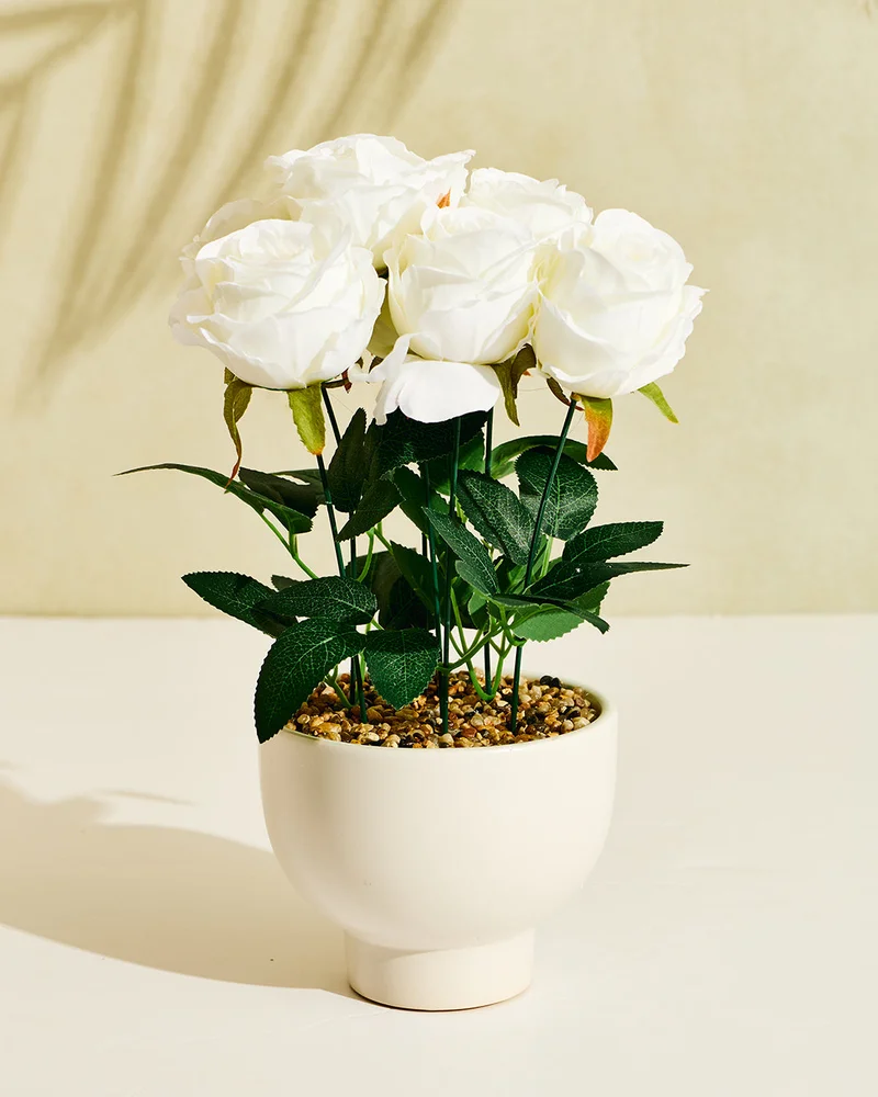 REDTAG White Artificial Rose in Ceramic Pot