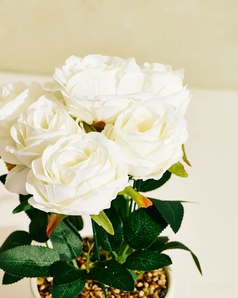 REDTAG White Artificial Rose in Ceramic Pot