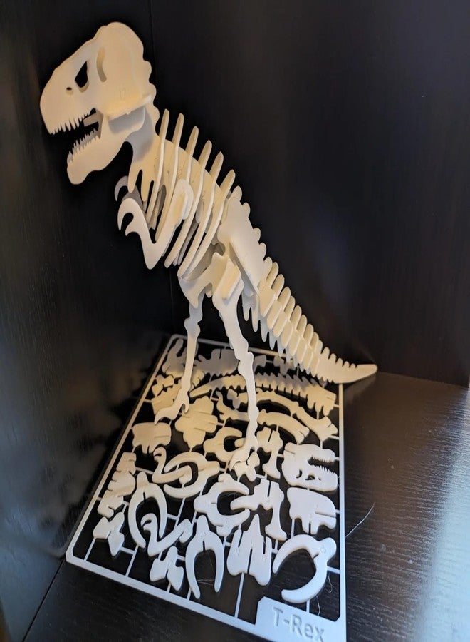 Beoals 3D Puzzle Dinosaur Skeleton Model Kit, White, Educational Assembly Toy - Image 3