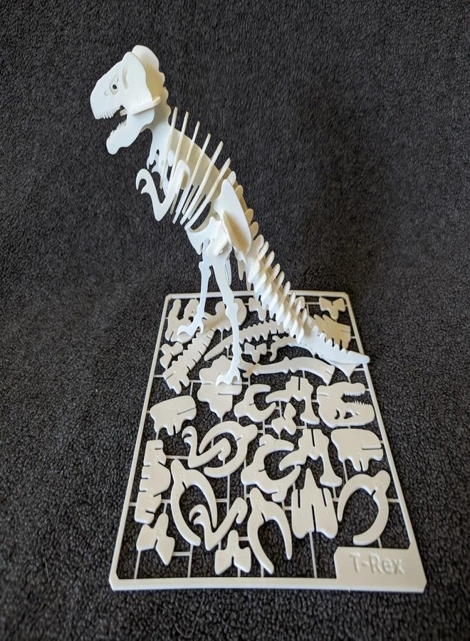 Beoals 3D Puzzle Dinosaur Skeleton Model Kit, White, Educational Assembly Toy - Image 4