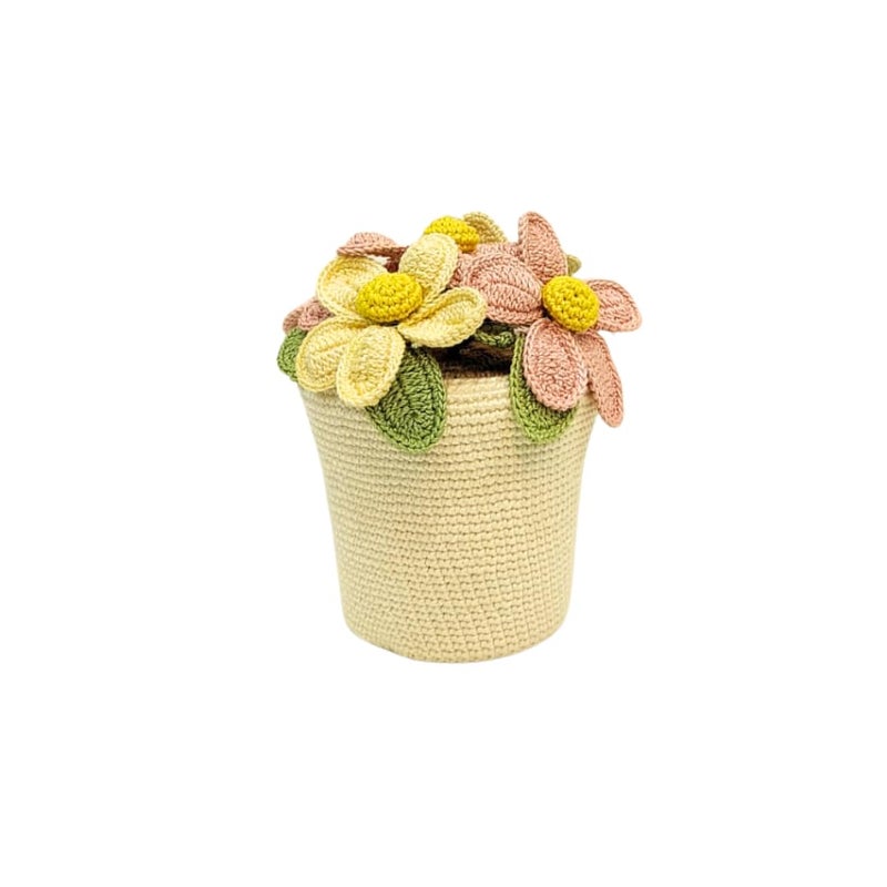 Happy Threads|Handmade Crocheted Flower Pot,Eco-Friendly & Elegant Floral Arrangements,Best Decorative & Gifting Items for Home and Office - Cream and Peach - Image 1