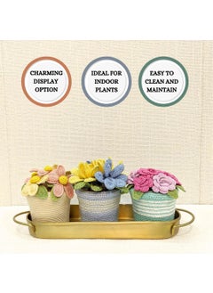 Happy Threads Happy Threads|Handmade Crocheted Flower Pot,Eco-Friendly & Elegant Floral Arrangements,Best Decorative & Gifting Items for Home and Office - Cream and Peach  - Image 4