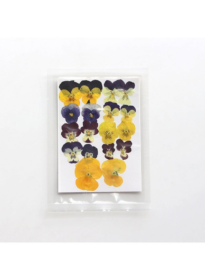 54 قطعة من الزهور المجففة المضغوطة للراتنج، الحرف اليدوية، الزهور الطبيعية المجففة، الإيبوكسي، المجوهرات، ديكورات الزهور الحقيقية، الكعك، حافظات الهواتف، الشموع، الصابون المصنوع يدويًا، البنفسجي، البانسيه - Image 4