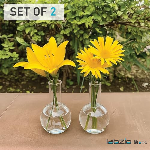 LABZIO 250ml Glass Boiling Flask Flower Vase Set of 2 | Transparent Decorative Vases for Home, Office, Living Room, Tabletop, Centerpiece, Hydroponics & Indoor Plant Decoration - Image 3
