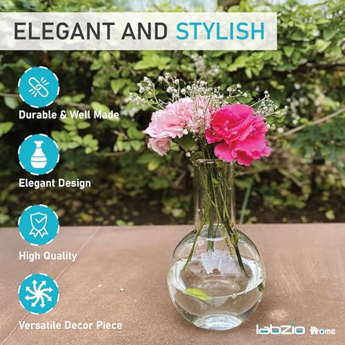 LABZIO 250ml Glass Boiling Flask Flower Vase Set of 2 | Transparent Decorative Vases for Home, Office, Living Room, Tabletop, Centerpiece, Hydroponics & Indoor Plant Decoration - Image 5
