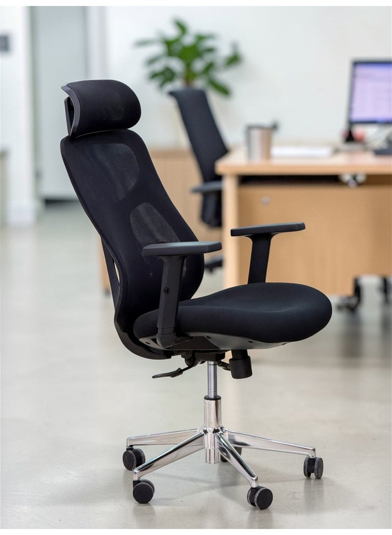 602B Executive Ergonomic Mesh Office Chair with High-Back Support, Adjustable Lumbar & Premium Chrome Base - Black - Image 1