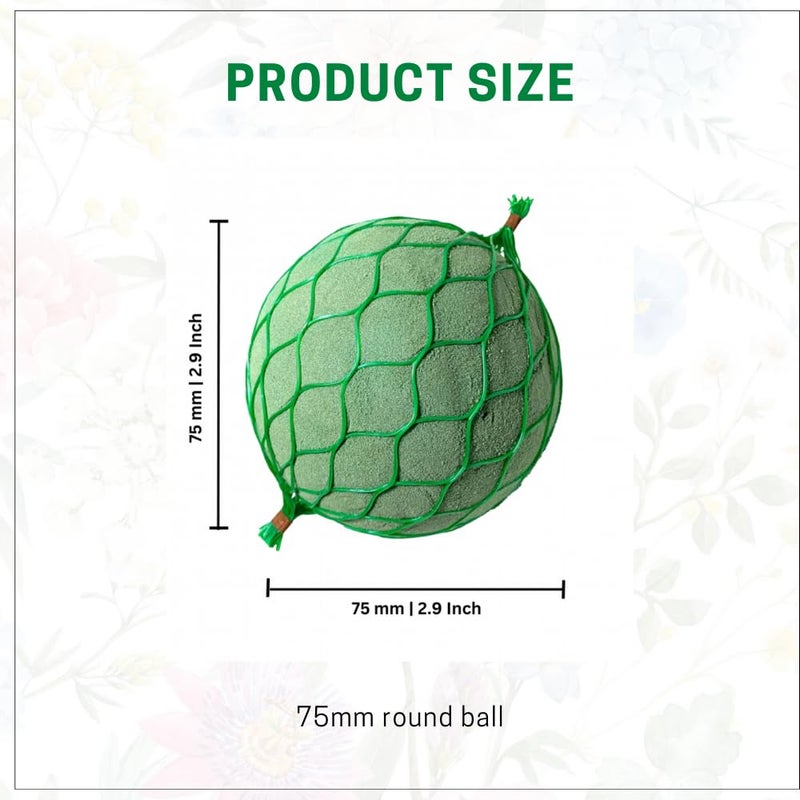 Oasis Pack of 6 Floral Foam Spheres | Green Round Foam Spheres Balls for Fresh & Artificial Flowers | Wet & Dry Use | Ideal for Wedding, Party & Home Floral Arrangements - Netted (75mm) - Image 3