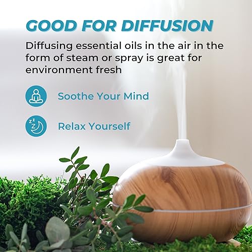 benatu Essential Oils Blend Set, Relaxation Fragrance Gift for Women and Men, Natural Aromatherapy Kit for Diffuser, Home, Body Topical Massage (Dream, Breathe, Balance, Stress, Thief) - Image 4