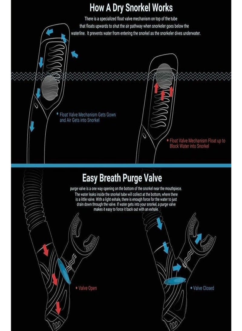 رحلة التنوعD قناع غطس مع أحدث نظام تنفس جاف، نظارات غطس بانورامية قابلة للطي 180 درجة من الزجاج المقوى ومقاومة للضباب ومقاومة للتسرب، معدات غطس للبالغين والشباب ، قناع غطس للتنفس الحر للغطس والغوص والسباحة - Image 4