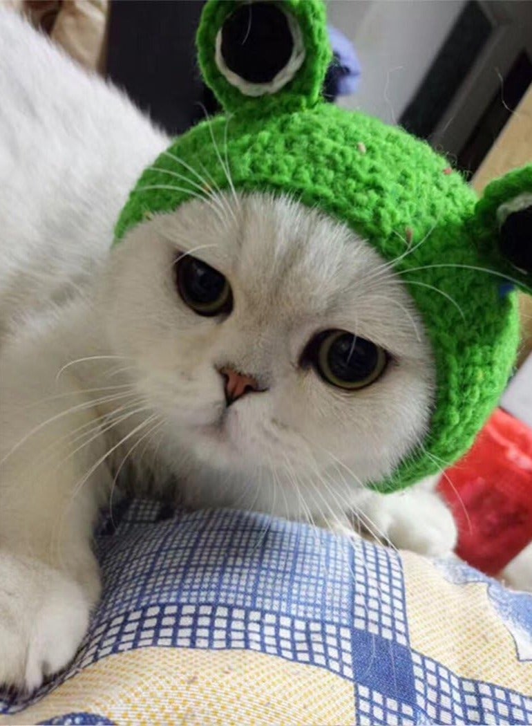 GUDOO Pet Hat - Dog Cat Pet Cap Handmade Knitted Woolen Yarn Hat for Puppy Teddy Cartoon Frog Animal Dog Cat Grooming Accessories Apparels, Green - Image 2