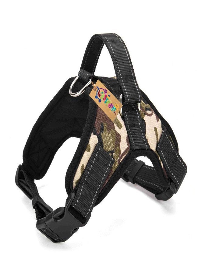 ويستيرن إرا سترة رياضية للكلاب من ويسترن إيرا قابلة للتعديل ومبطنة بحشوة مريحة للغاية (للكلاب الصغيرة) (كبير - L) - Image 1