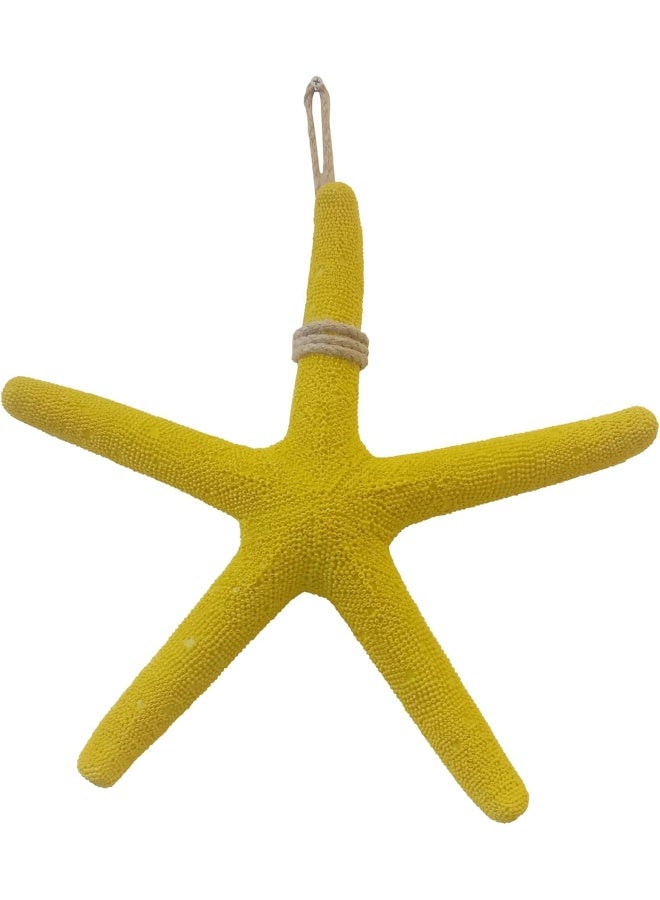 YINZUO Mediterranean Starfish Wall Hanging Decor  - Image 5