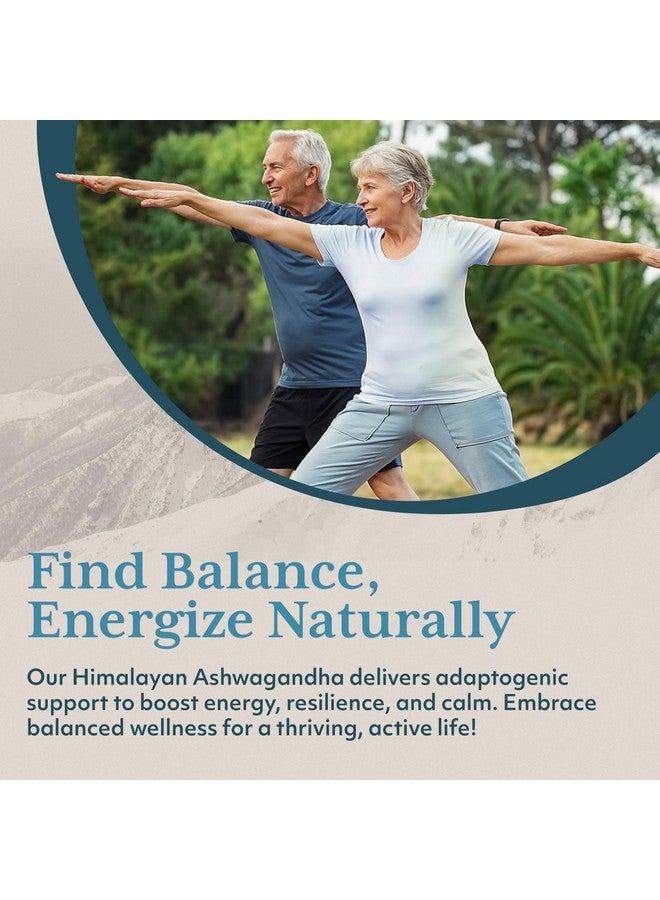 R-U VED RU Ved Ashwagandha Ayurvedic Supplement Stress and Mood Support (60 Capsules) - Image 5
