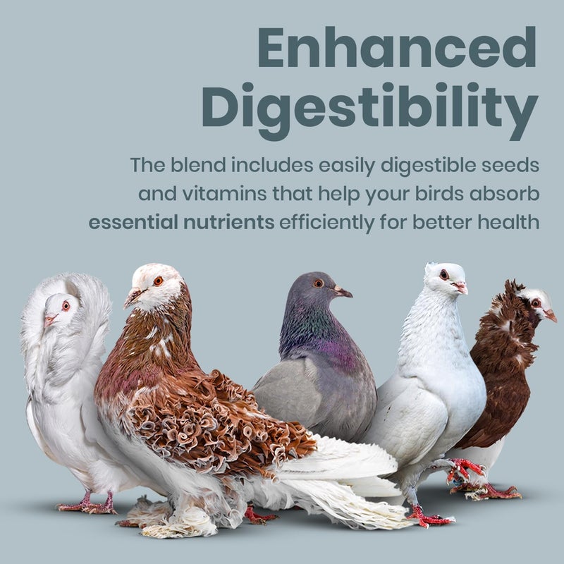BRANDSFINITY Premium Bird Food For Pigeons - Image 4