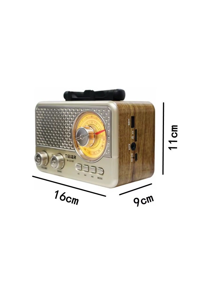 Retro Radio, FM AM SW Tri-Band Radio, Outdoor Multi-Band Radio, DC 3V, Type C, USB Charging Radio, BT Speaker