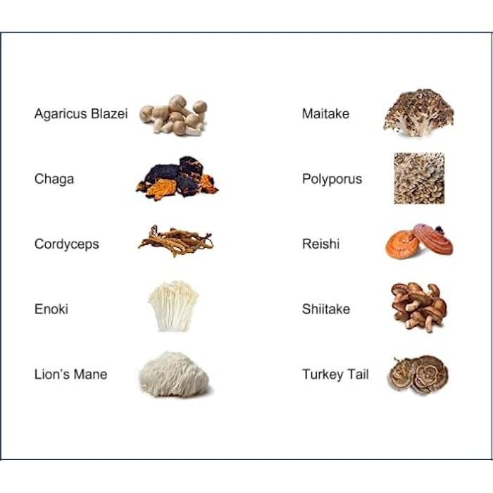 Jetsu Mushroom Extract Powder - Powerful 10 Blend, Organic Lions Mane, Cordyceps, Reishi, Shiitake, Turkey Tail Mushrooms Nootropic Brain Supplement for Energy, Calm, Focus & Immune System Booster - Image 4