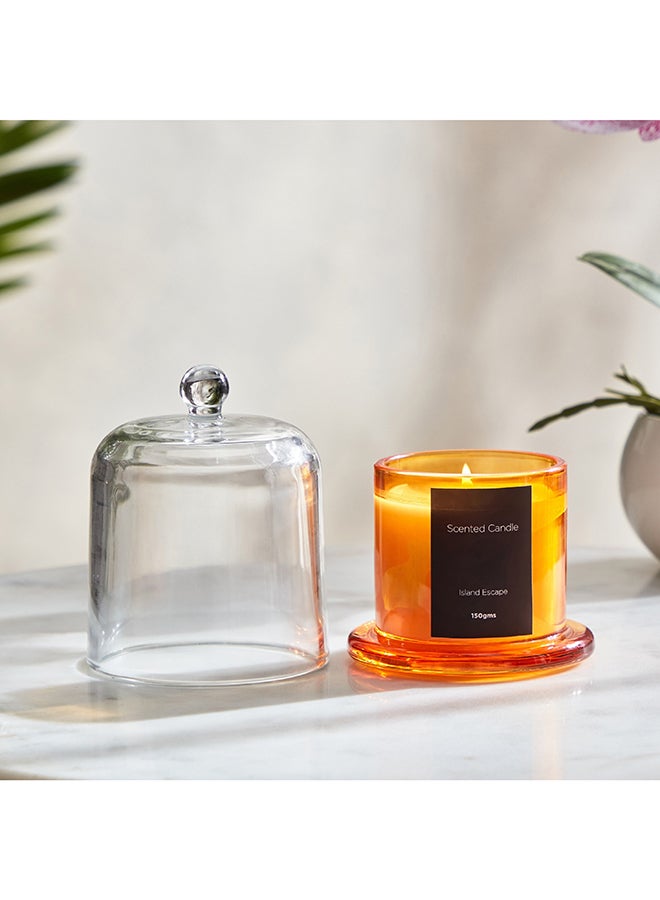 Home Box Balmy Island Escape Scented Candle - 150 gm - Image 1