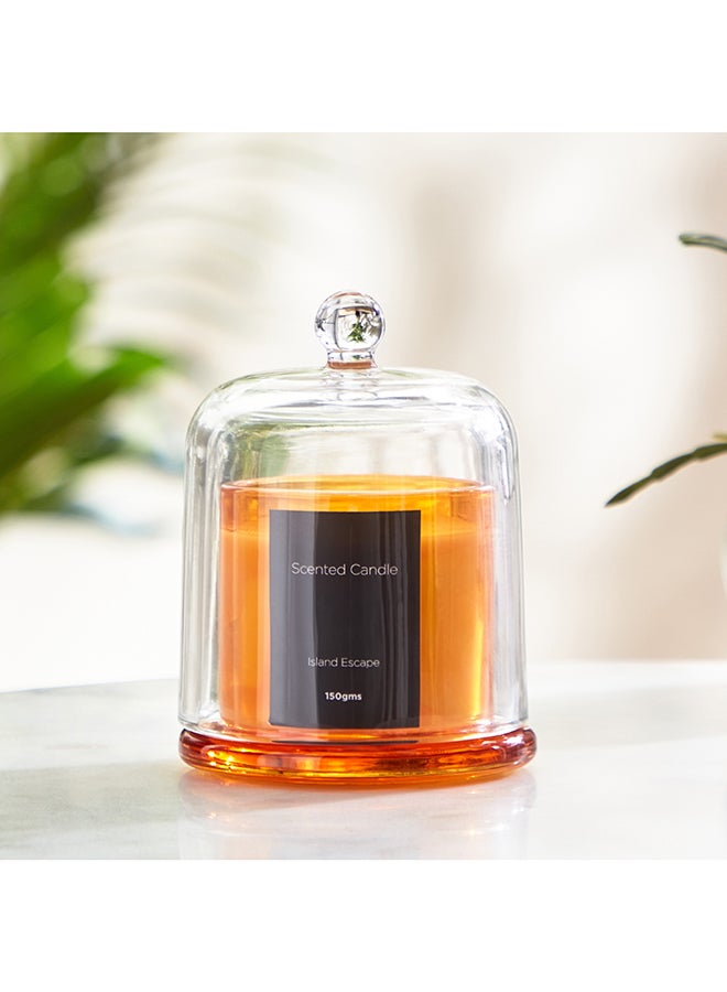 Home Box Balmy Island Escape Scented Candle - 150 gm - Image 3