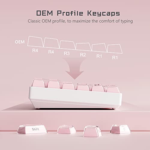 Womier Jelly Keycaps-Crystal Cute Keycaps Pink 60 65 75 100 Percent, Side Printed Elegant Key caps Custom113 Keys, OEM Profile for 61/68/84/87/98/100 Cherry Gateron MX Mechanical, Pink - Image 4