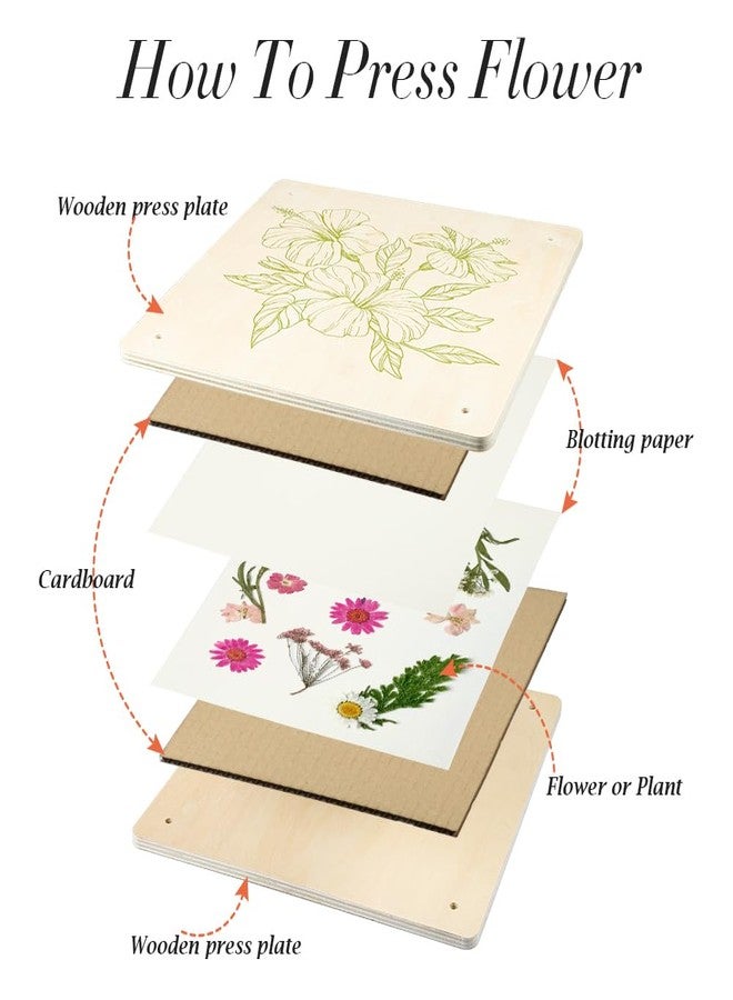 Vindar Extra Large Flower Press Kit 10.8 x10.8 inches, Floral Preservation Kit, DIY Arts and Craft Kit 10 Layers Plant Press and Drying Tool kit, Ideal Gift for Flower & Plant Lovers - Image 3