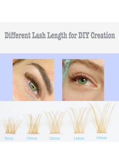 DAODER Brown Lash Clusters Blonde Lash Extension 96pcs Light Brown Cluster Lashes D Curl 8-16mm Wispy Individual Lashes With Clear Lash Band Eyelash Extension Clusters By DAODER(Brown Lash Cluster 007)  - Image 2