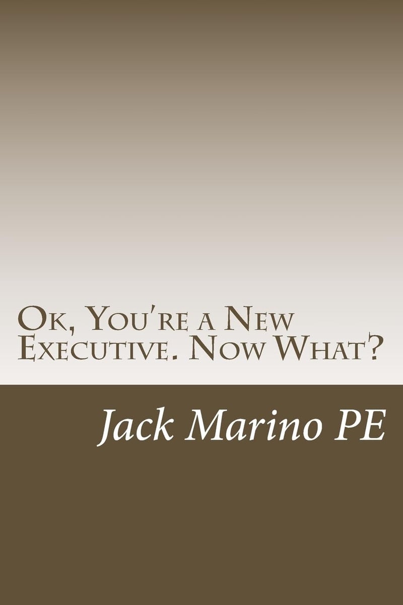 CREATESPACE OK, You're a New Executive. Now What?: Reflections on 40 years as a small company manager - Image 2