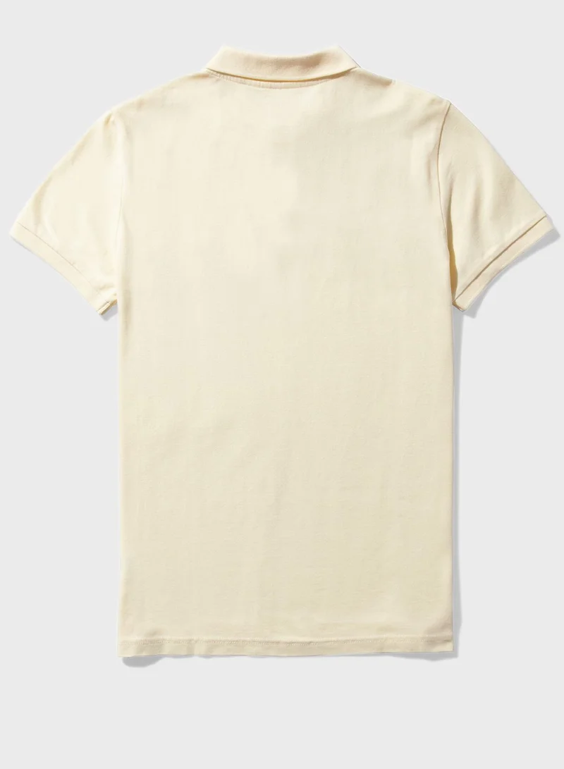 American Eagle Slim Fit Polo