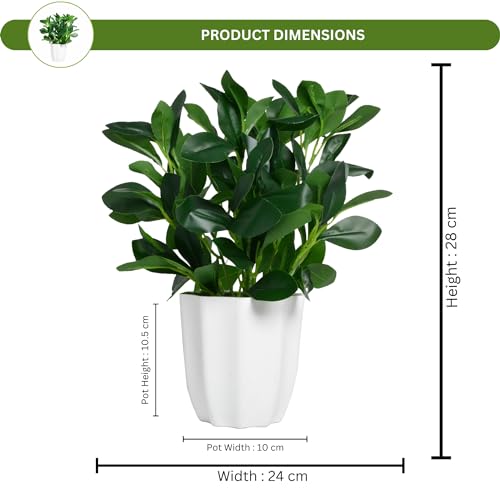 fancymart Plastic Artificial Rubber Plant With Pot Perfect For Home Decor And Office Decor, Ficus, Green - Image 3