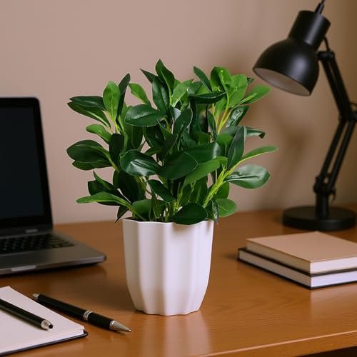 fancymart Plastic Artificial Rubber Plant With Pot Perfect For Home Decor And Office Decor, Ficus, Green - Image 5