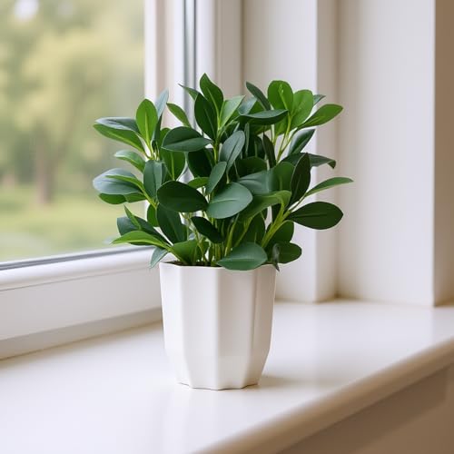 fancymart Plastic Artificial Rubber Plant With Pot Perfect For Home Decor And Office Decor, Ficus, Green - Image 4