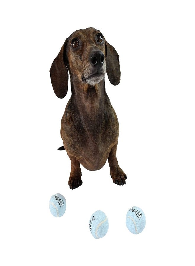 Midlee Blue 1.5" Mini Squeaky Dog Tennis Balls- Set of 12 - Image 2