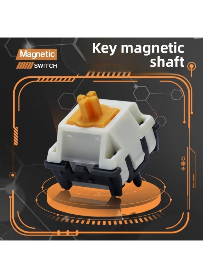 Generic - Duhuk Key Magnetic Axis High Precision Electric Competition Magnetic Axis Noise Reduction Structure Smooth HIFI Magnetic Axis Keyboard Switch-Color:900±50gs Magnetic Flux For Wooting - Image 1