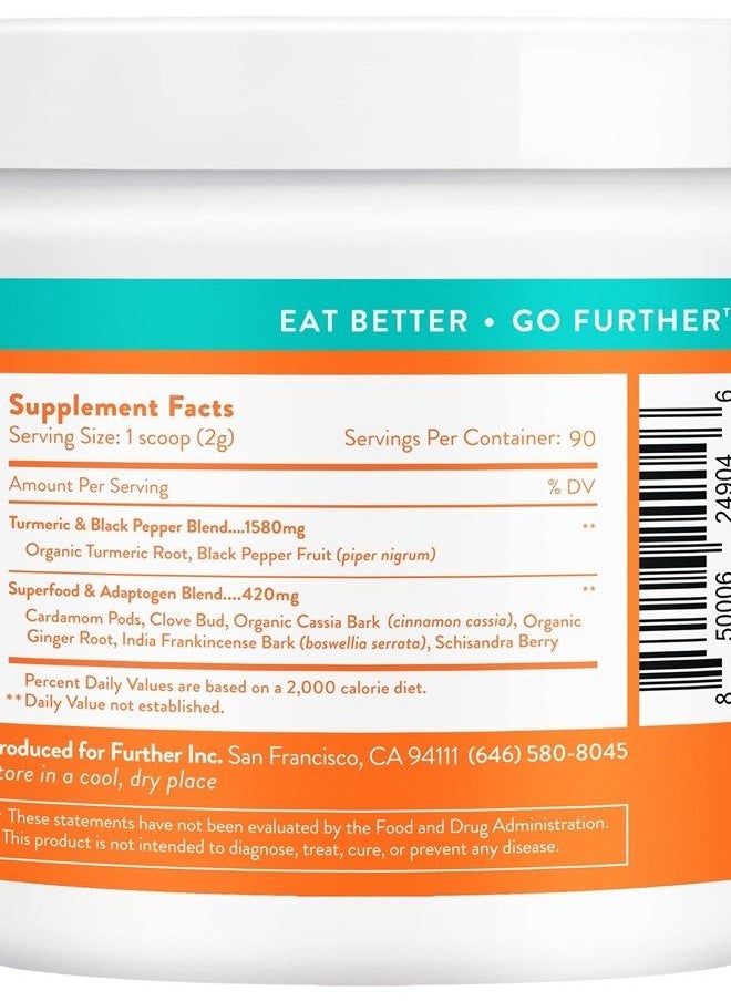 Further Food Best Turmeric Golden Milk Organic Turmeric Powder, Cinnamon, Ginger & Black Pepper Maximum Absorption Joint Health, Gut Health, Sugar-Free, Vegan, Keto (90 Servings)  - Image 2