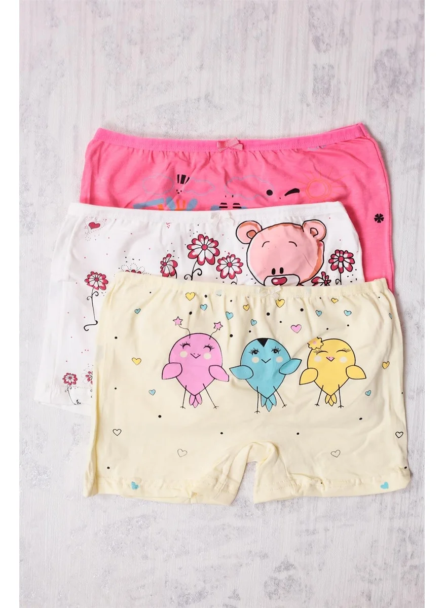 Gümüş Silver 6-Pack Girl Mixed Pattern Boxer