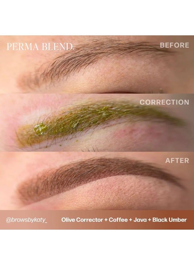 Perma Blend Corrector Pigment Mini Set – Perma Blend Corrector Mini Set 3x15ml | Professional PMU Color Correction Tattoo Ink Collection for Brows, Lips & Tattoos | Vegan, Long-Lasting | SKU: PBMSCS - Image 2