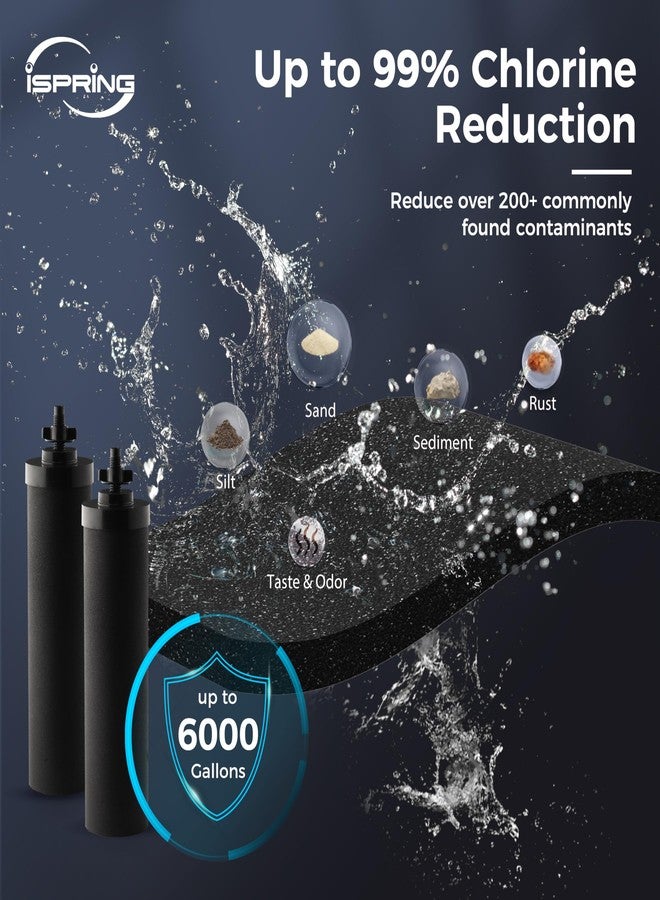 آي سبرينج فلتر مياه iSpring FDGF2 من الكربون النشط لنظام فلتر المياه iSpring DGF2 المصنوع من الفولاذ المقاوم للصدأ والذي يعمل بالجاذبية، وسلسلة Waterdrop® King Tank، وبديل لفلتر Berkey® BB9-2 الأسود - Image 4