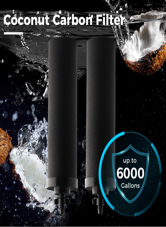آي سبرينج فلتر مياه iSpring FDGF2 من الكربون النشط لنظام فلتر المياه iSpring DGF2 المصنوع من الفولاذ المقاوم للصدأ والذي يعمل بالجاذبية، وسلسلة Waterdrop® King Tank، وبديل لفلتر Berkey® BB9-2 الأسود - Image 3