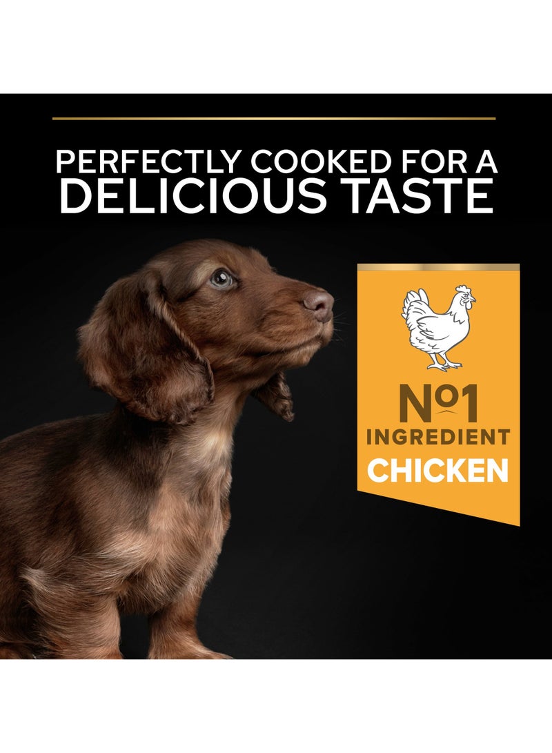 Purina Pro Plan Healthy Start Small And Mini Puppy Dry Dog Food With Chicken 3kg  - Image 5