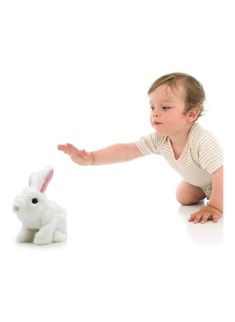 PUGS AT PLAY - Hopper Jumping Rabbit - Image 1