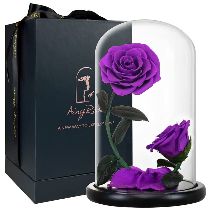 AINYROSE AINYROSE Forever Preserved Rose Gifts for Women Flower Rose in A Glass Dome Anniversary for Mom Her ValentinesAnniversary Purple 