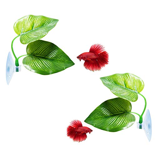 CousDUoBe 2 Pack Betta Fish Leaf Pad Improves Betta's Health by Simulating The Natural Habitat - Natural, Organic, Comfortable Rest Area for Fish Aquarium Ornaments - Image 1
