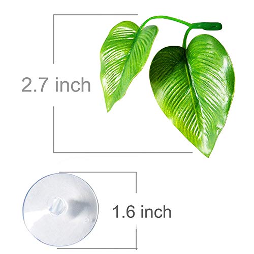 CousDUoBe 2 Pack Betta Fish Leaf Pad Improves Betta's Health by Simulating The Natural Habitat - Natural, Organic, Comfortable Rest Area for Fish Aquarium Ornaments - Image 3