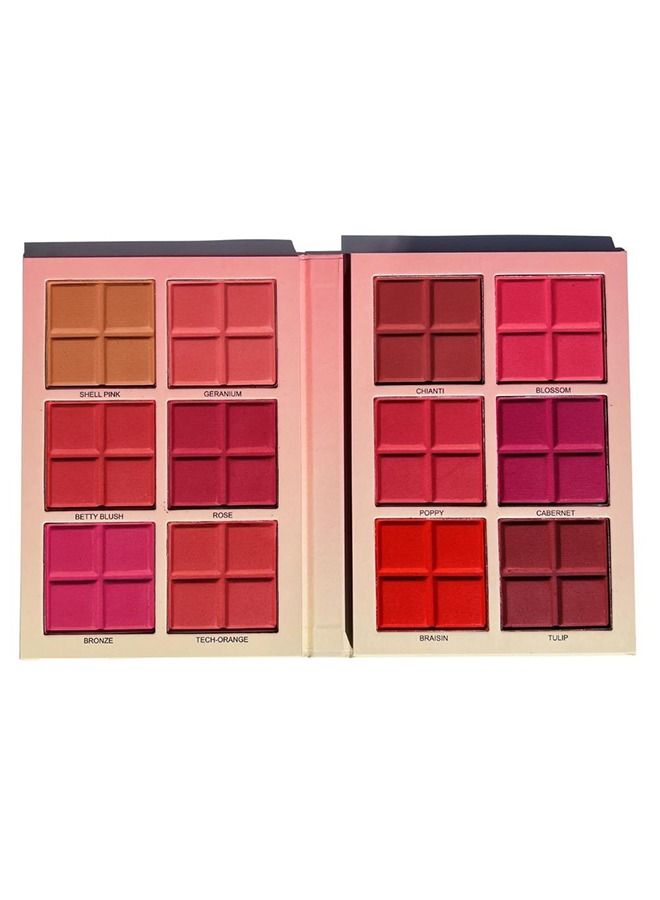 daroge Professional Makeup Powder Blush Palette 12 Color - Image 1