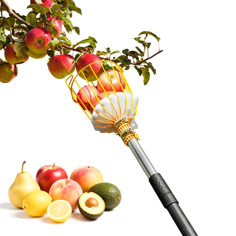BlumeTrec 6.5FT Fruit Picker with Basket, Apple Picking Tool 35â€“77 Inch Adjustable Pole, Long-Handle Mango Grabber, Tree Fruit Catcher for Harvesting Lemon Pear Orange Avocado Peach Citrus Grapefruit - Image 1